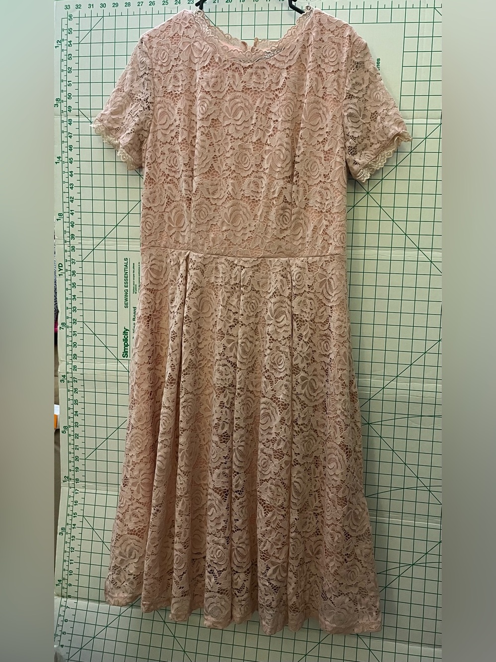 Elegant Lace Fit-and-Flare Bridesmaid/Special Occasions Dress in Blush